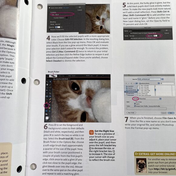 Adobe Photoshop Elements Techniques Magazine u Jan Feb 2011 Vol 8 No 1 Find Phot - Picture 6 of 7
